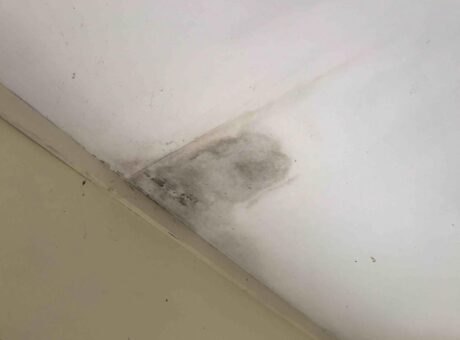 ceiling_damp_patch