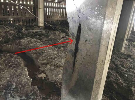 concrete_stump_spalling