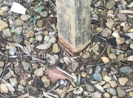 steel_colum_corrosion