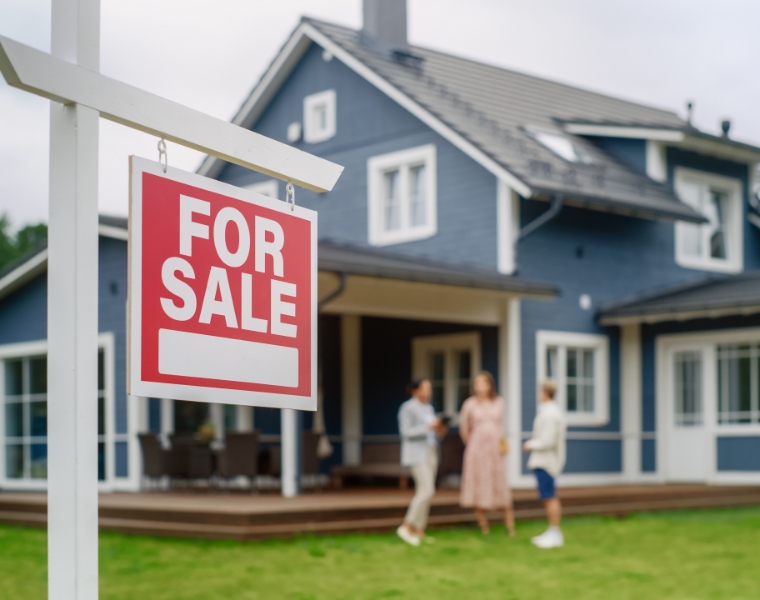 building-pest-inspections