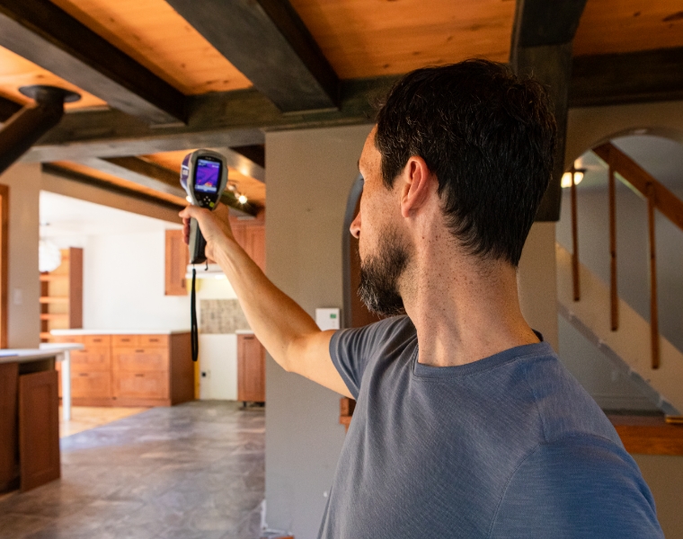 professional-building-and-pest-inspection