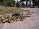Clogged Stormwater Drain 2 Picture Clogged Stormwater Drain 2 Picture